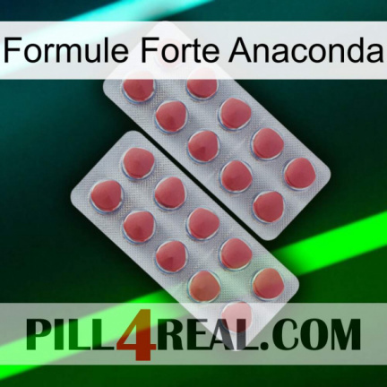 Anaconda Strong Formula 19